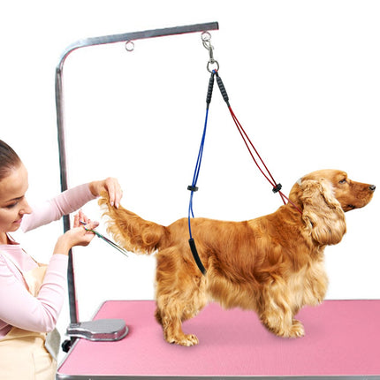 Colorful Strap for Pet Grooming Table - wnkrs