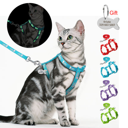 Cat's Luminous Harness And Leash Set - wnkrs