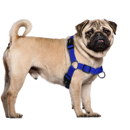 Walking Nylon Dog's Harness - wnkrs