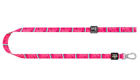 Medium Dog Walking Leash - wnkrs