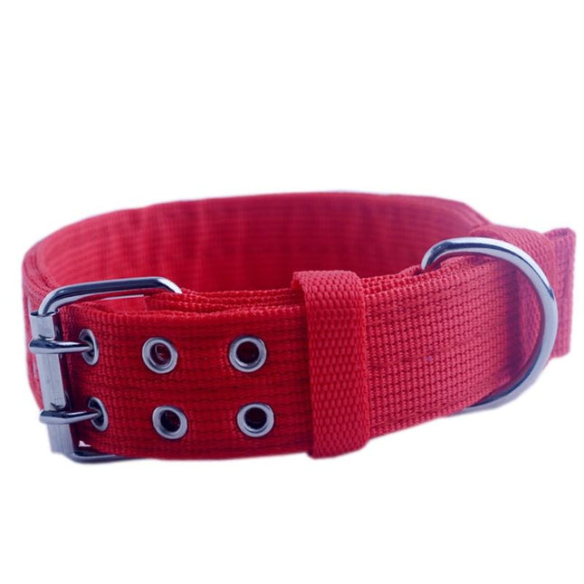 Cute Solid Army Green Canvas Dog's Collar - wnkrs