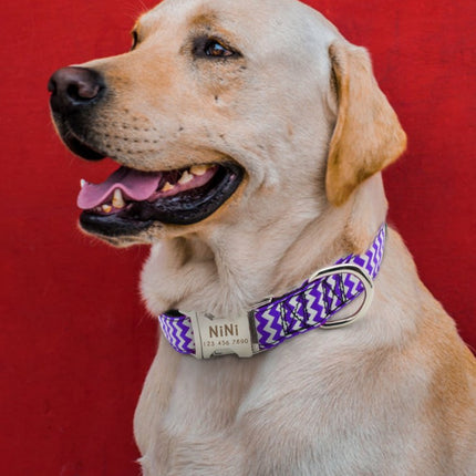 Dog's Zig Zag Pattern Collar - wnkrs