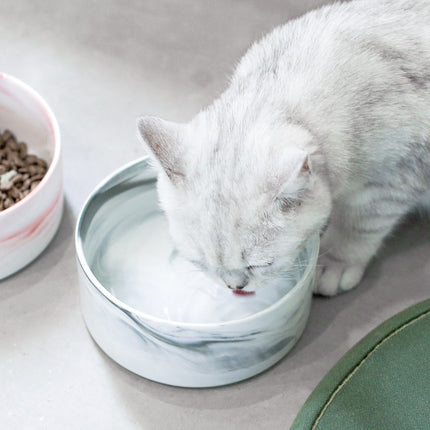 Cat's Marble Ceramic Bowl - wnkrs