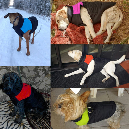 Waterproof Winter Jacket For Dogs - wnkrs