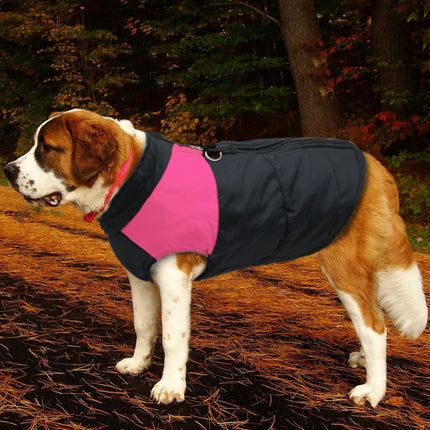 Winter Jacket For Small/Big Dogs - wnkrs