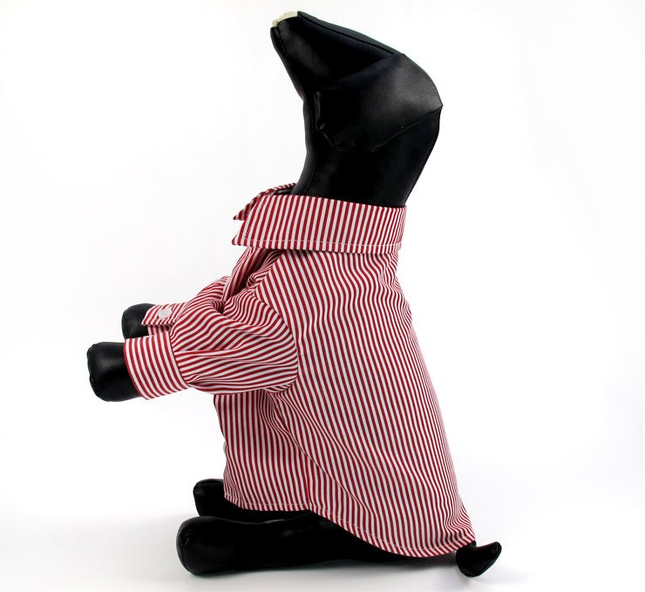 Dog's Casual Striped Shirt - wnkrs