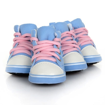 Pet Candy Color Shoes - wnkrs