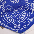 blue / xl