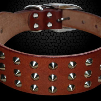 Studded Leather Dog Collar with Rock Style Design - Perfect for Fashionable Dogs - wnkrs