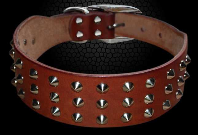 Studded Leather Dog Collar with Rock Style Design - Perfect for Fashionable Dogs - wnkrs