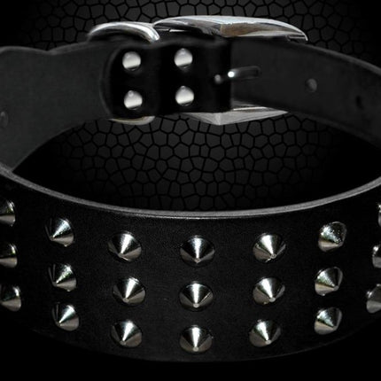 Studded Leather Dog Collar with Rock Style Design - Perfect for Fashionable Dogs - wnkrs