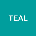 teal / s-48-pcs
