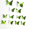 mariposa-verde