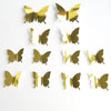 mariposa dorada
