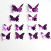 mariposa-morada