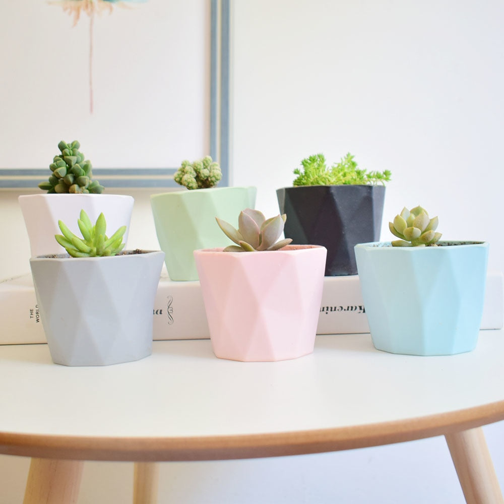 Compact Geometric Plants Vase
