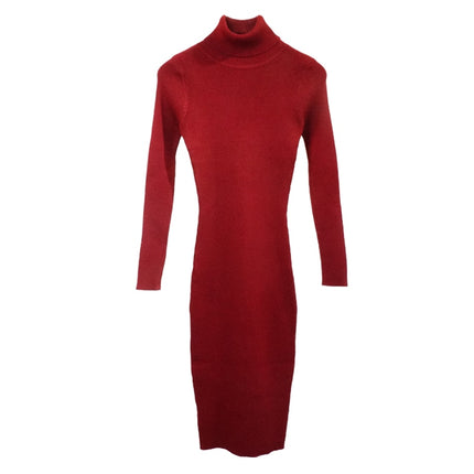 Winter Turtleneck Sweater Dress for Women - wnkrs