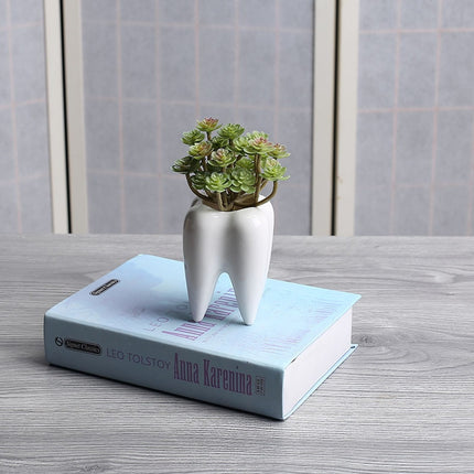 Tooth Shaped Ceramic Flower Pot - wnkrs