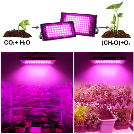 50W / 100W LED Hydroponics Lamp - wnkrs