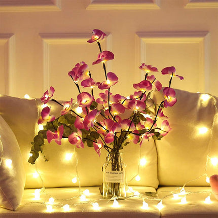 20 LEDs Decorative Flowers Set - wnkrs