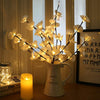 white-orchid