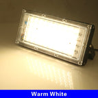 warm-white / 50w