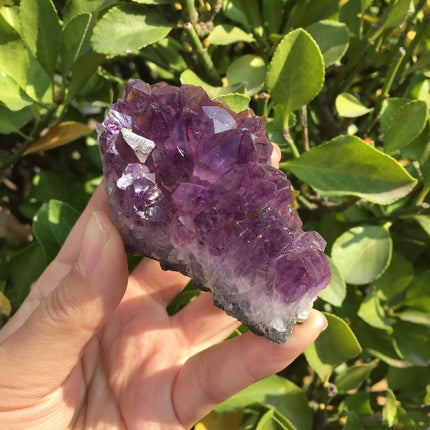 Natural Dream Amethyst Quartz Crystal - wnkrs