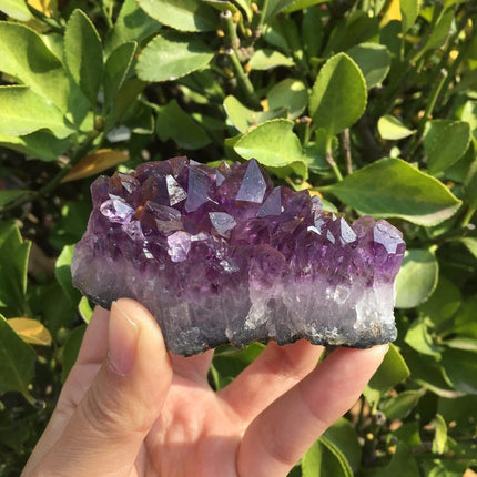 Natural Dream Amethyst Quartz Crystal - wnkrs