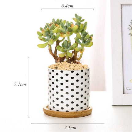 Modern Geometric Patterned Ceramic Flower Pot - wnkrs