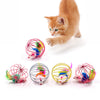 multicolor-cage-mouse