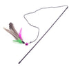 multicolor-feather