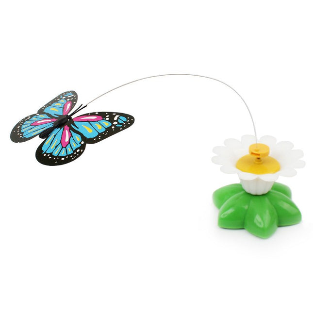 Colorful Electric  Butterfly and Bird - wnkrs