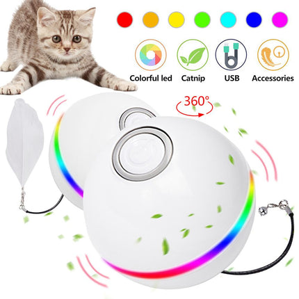 Smart Electric Pet Toys - wnkrs