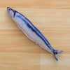 sauryfish