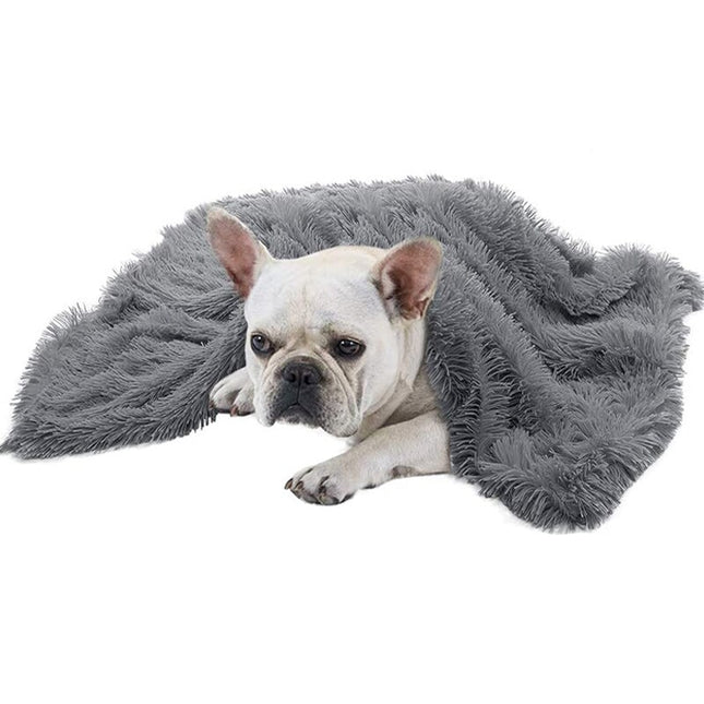 Dogs Plush Sleeping Blanket - wnkrs