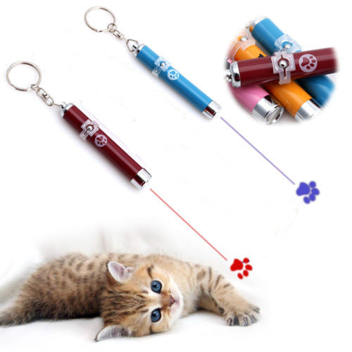 Cat Laser Pointer Toy - wnkrs