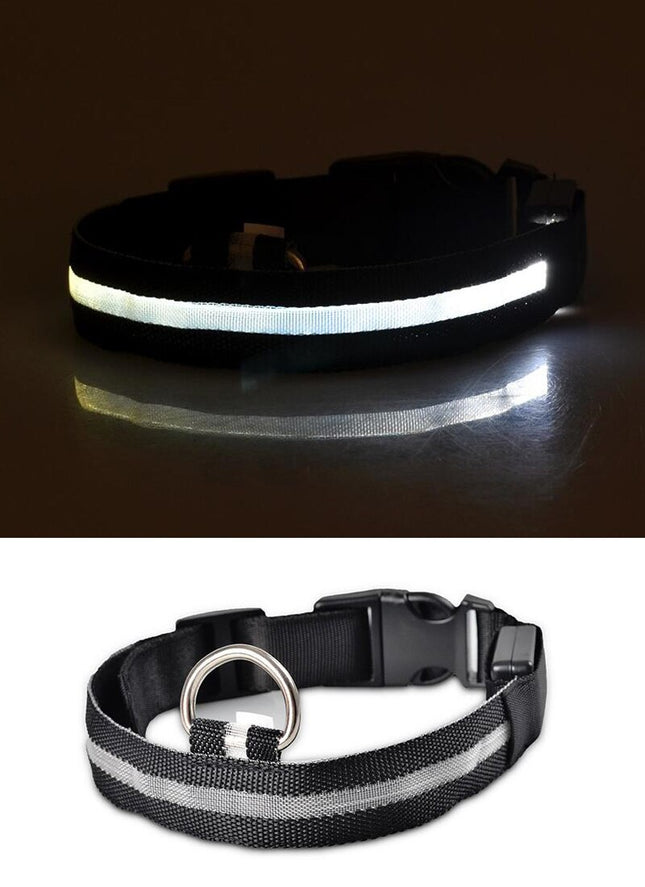 Dogs Nylon LED Collar - wnkrs