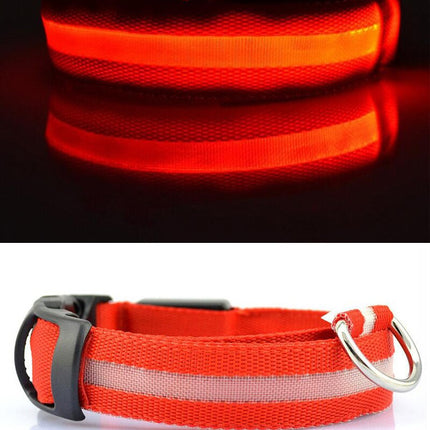 Dogs Nylon LED Collar - wnkrs