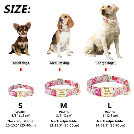 Nylon Engraved Nameplate Collar - wnkrs