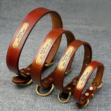 Elegant Genuine Leather Collar - wnkrs