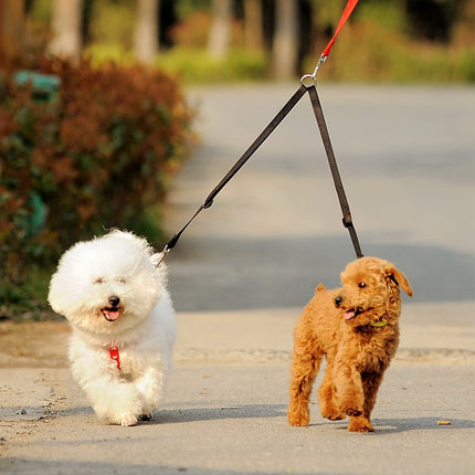 Double Twin Walking Leash - wnkrs