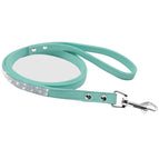 blue-leash