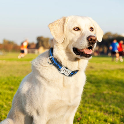 Dog's Striped Reflective Collar - wnkrs