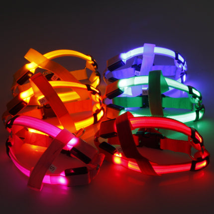 Pretty Bright Luminous Dog's Harness - wnkrs