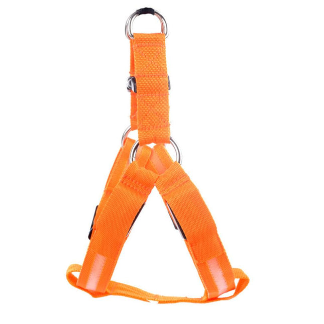 Pretty Bright Luminous Dog's Harness - wnkrs