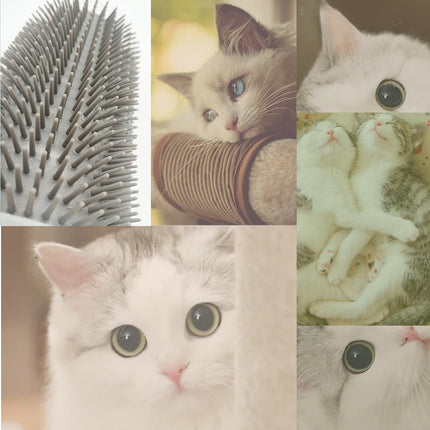 Self Groomer Massage Brush for Cats - wnkrs