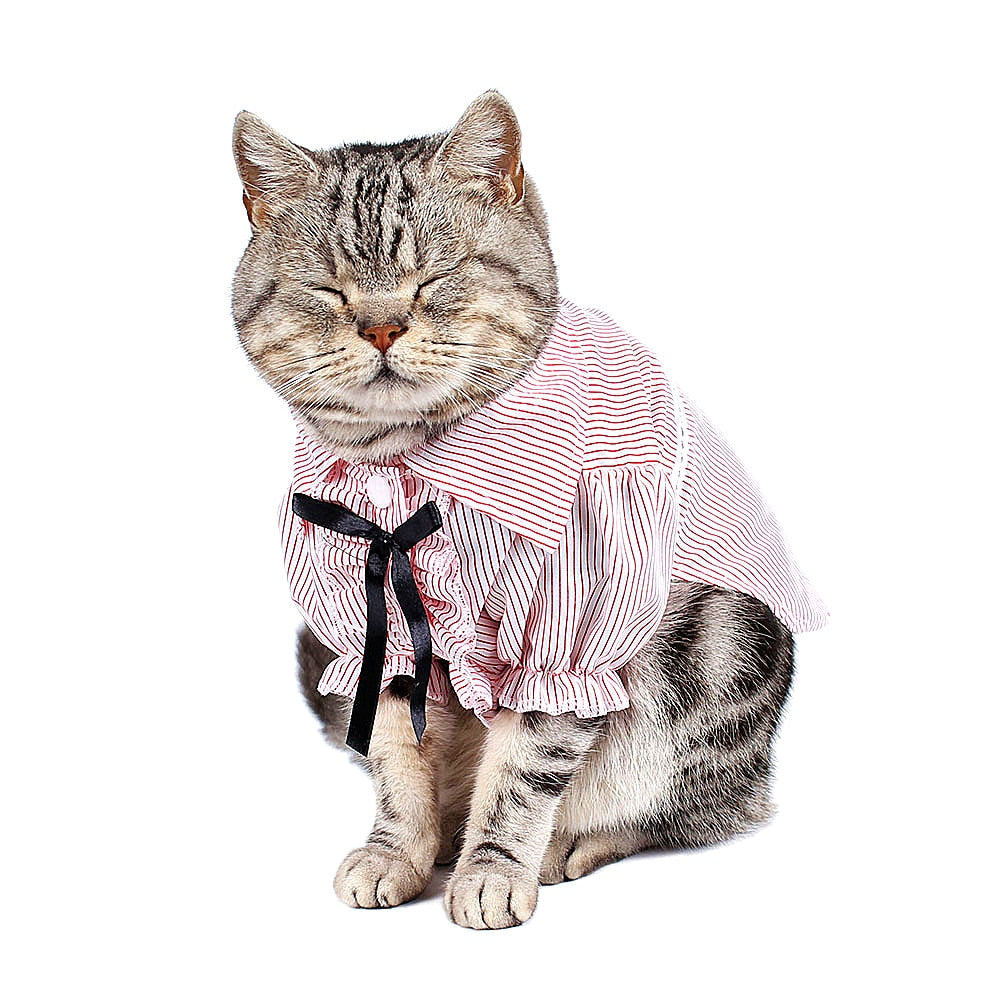Stripped Cat's Clothes in Blue and Pink