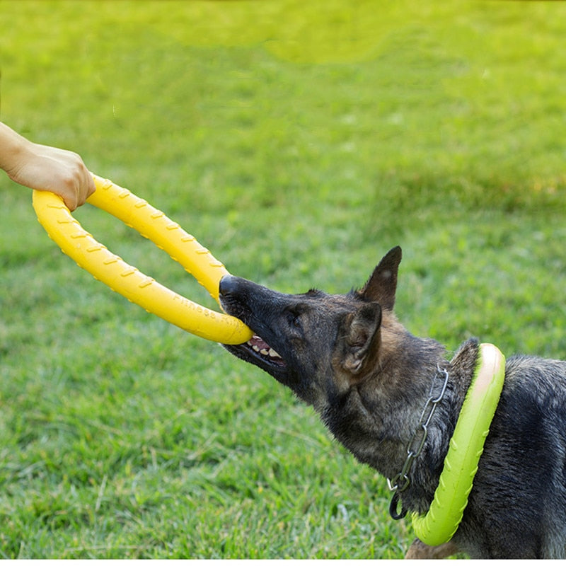 Flying Training Pull Ring