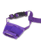 purple / xl