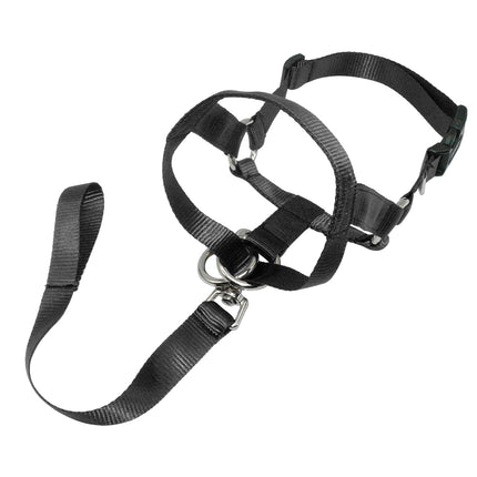 Nylon Adjustable Dog's Muzzle with Leash - wnkrs